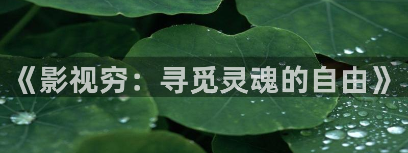 九九电影