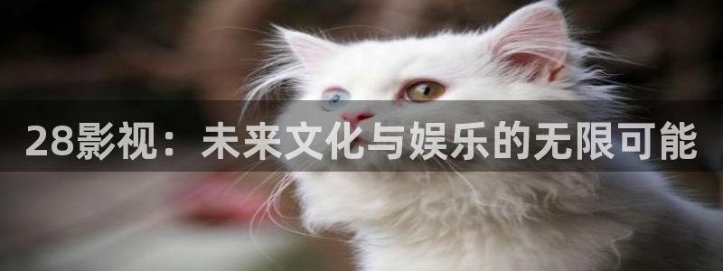 九九九九九九在线观看免费高清电视剧