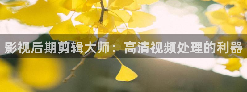 九九影院精品