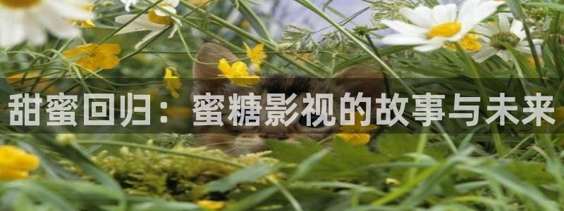 九九电影院在线播放免费看电视剧的