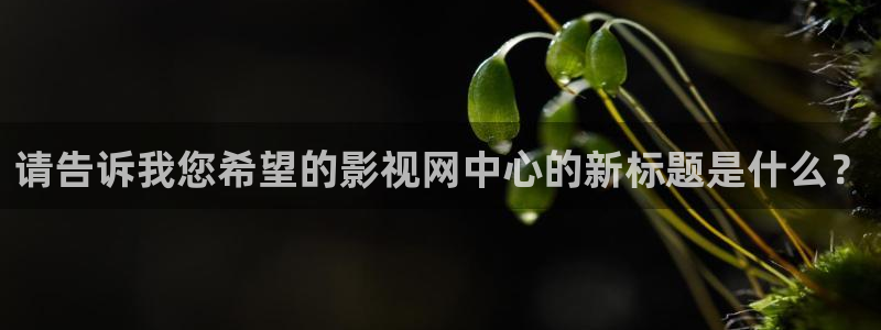 九九视频