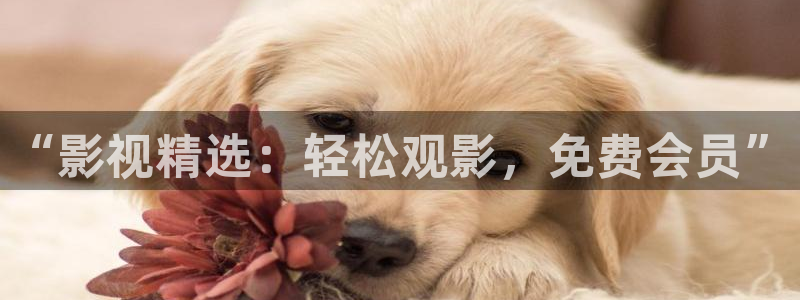 九九热免费观看视频