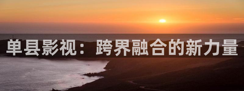 久久视频九九