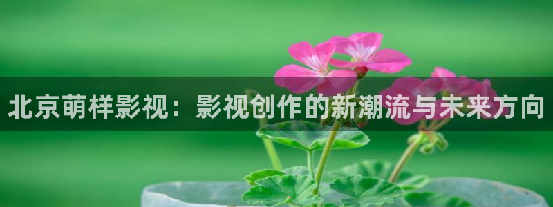 九九热视频免费视频