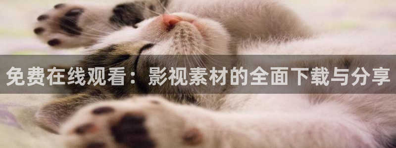 九九电视剧免费播放星辰影院