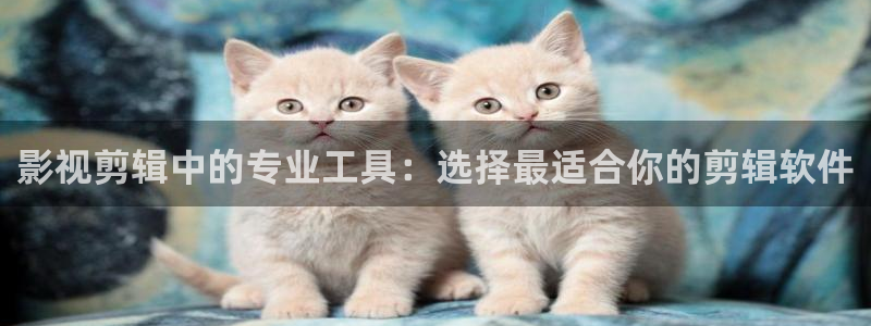 九九影院电视剧免费观看全集